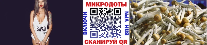 Псилоцибиновые грибы мухоморы  Ковылкино 